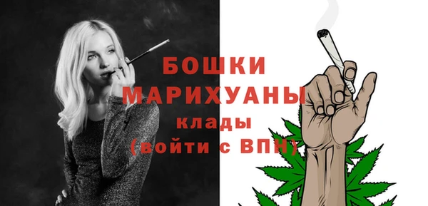 ECSTASY Богородск