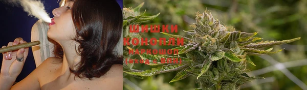бошки Богданович