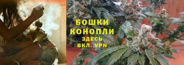 бошки Богданович