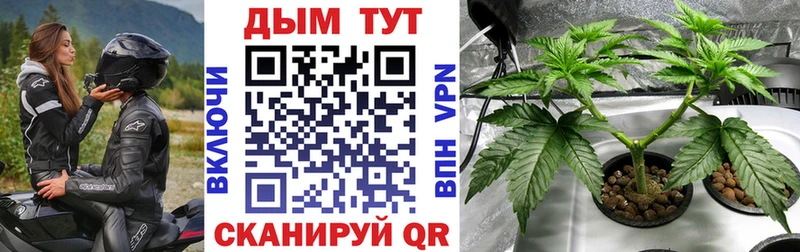 МАРИХУАНА SATIVA & INDICA  наркота  Красный Кут 